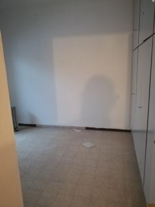 התומר 15 (רמז)