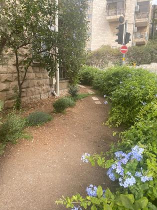 דרך עזה (רחביה)