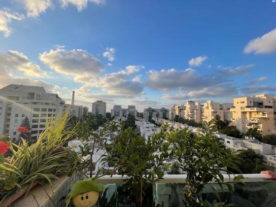 מאיר יערי (כוכב הצפון)