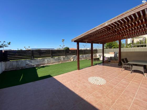 כנרית (צפון הכרם)