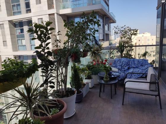 הרי הגלעד (הבורסה)