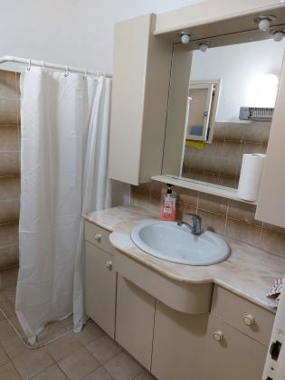 חלוצת הפרדסנות 19 (קרול)