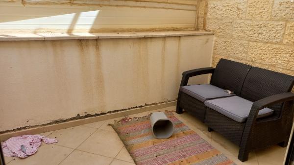 שאול אביגור 29 (חומת שמואל;הר חומה)