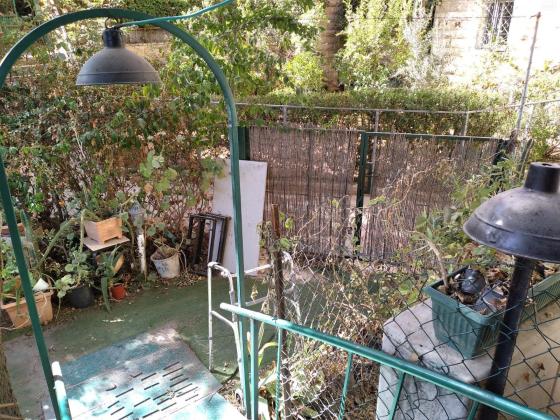 אפרסמון (גילה)