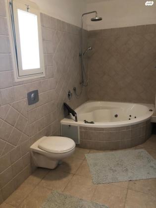 מבוא החרוב 20