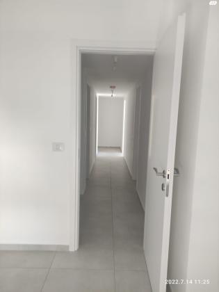 דרך השלום 19