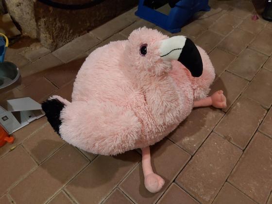 פופים מיוחדים לילדים קטנים פופים לילדים