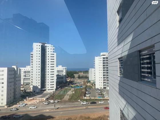 השחף 15