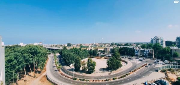 החסידה 4 (בית"ר)