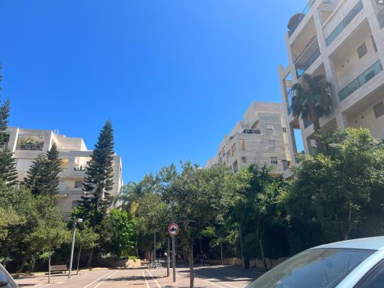 שרגא פרידמן (רמת אביב החדשה)