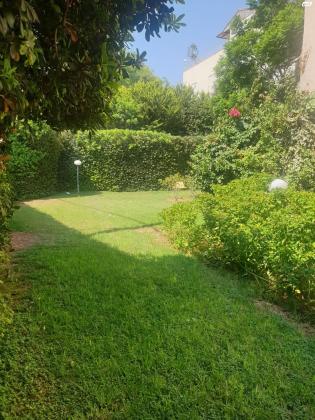 וולפסון 54 (מרכז העיר)