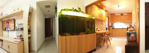 יוסף גרשון 470 (אברהם דנינו, בן גוריון)