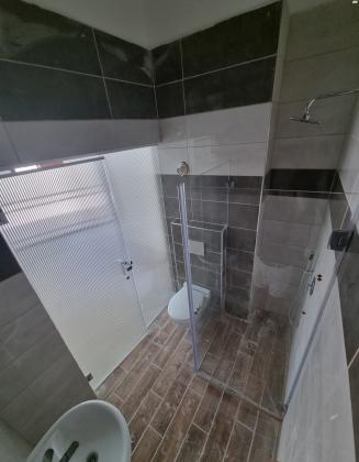 אבן סינא 41 (עג'מי)