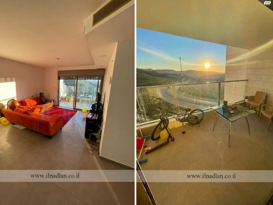 דליה (הר יונה)