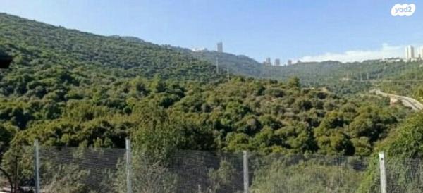מורדי הגטאות (גבעת נשר)