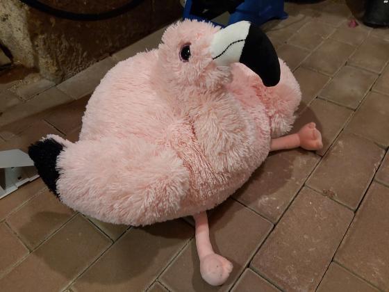 פופים מיוחדים לילדים קטנים פופים לילדים