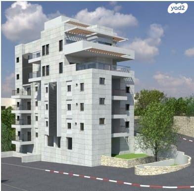 אלכסנדר ינאי (כרמליה)