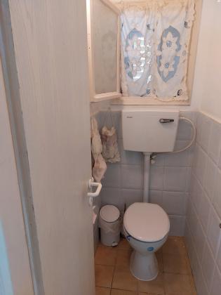 חלוצת הפרדסנות 19 (קרול)