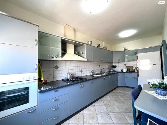 יחיאל מיכל פינס (נווה אלון)