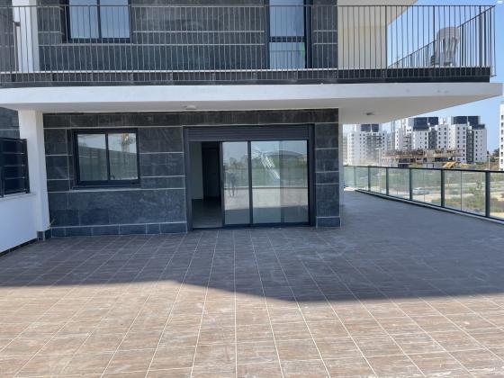 יוסי שריד 11