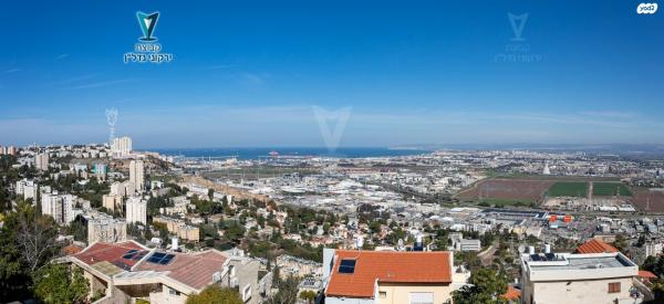 התמר (רמות יצחק)