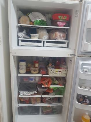 מקרר אפולו תדיראן 500 ליטר