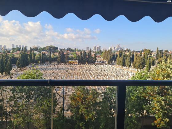 יונה בוגלה (כלניות)