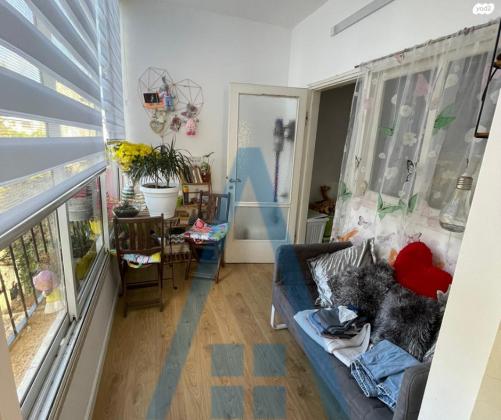 האחים טרבס 13 (ביל"ו)