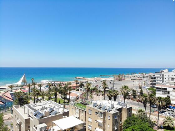 בלפור 8 (מרכז העיר)