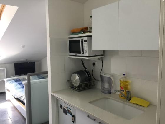 אריה לובה אליאב 18 (זיו)