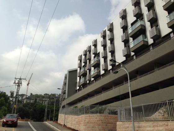 אריה לובה אליאב 18 (זיו)