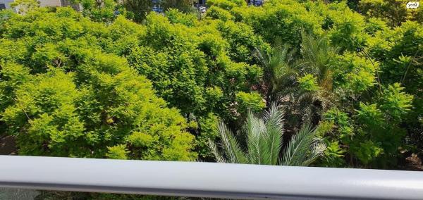 זלמן שז"ר (מוצקין הצעירה ונווה גנים)