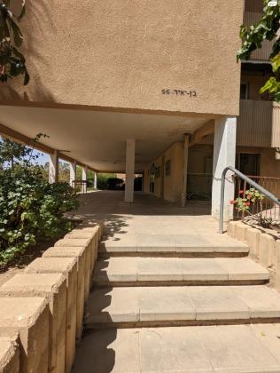 אלעזר בן יאיר 56