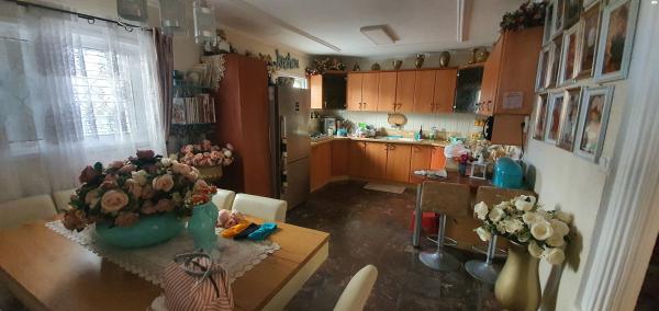 מרבד הקסמים 31