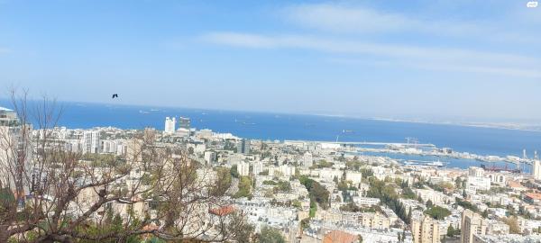 שניים בנובמבר 2 (כרמל צפוני)