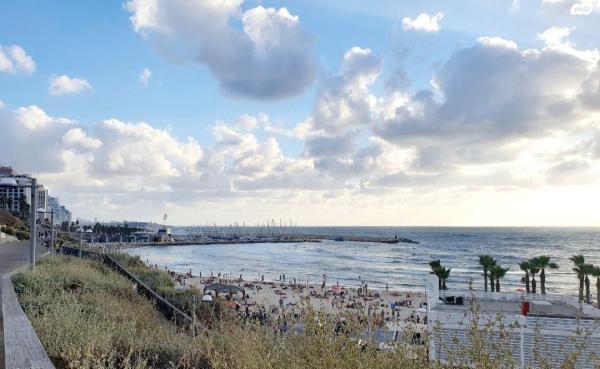 דיזנגוף (הצפון הישן החלק המרכזי)