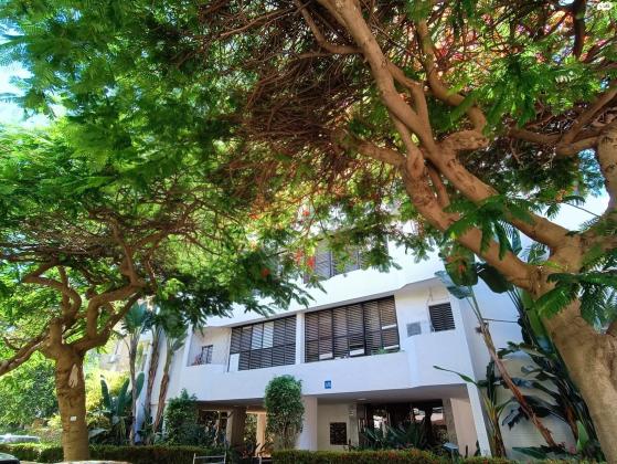 הסבוראים 15 (נוה אביבים)