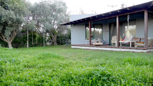 שדמות דבורה 1