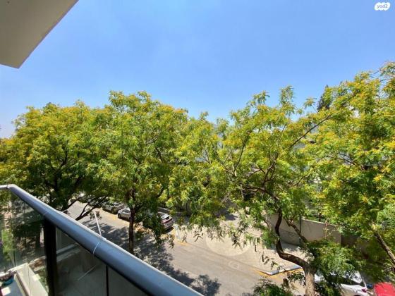 האורנים (הדר)