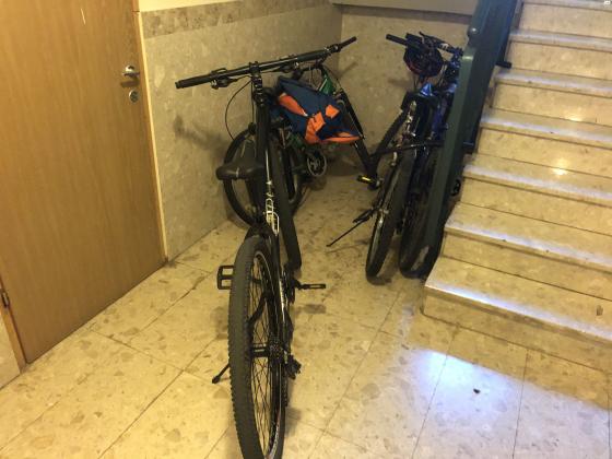 יכין אופניים-Bust