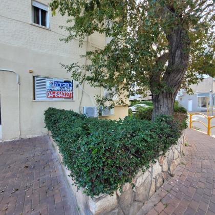 הרב קוק (מוצקין הותיקה)