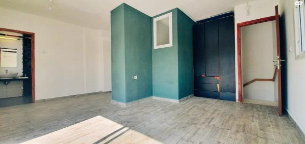 החסידה 4 (בית"ר)