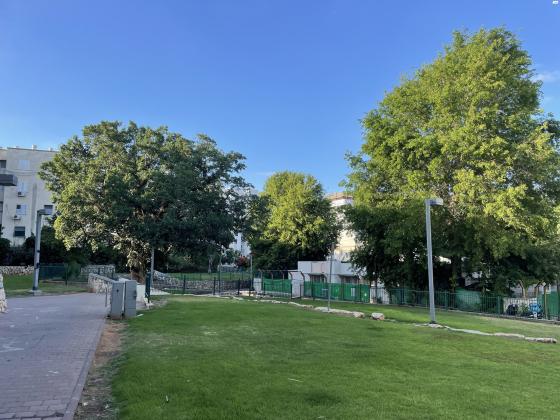 סהרון 28 (נוה גולן)