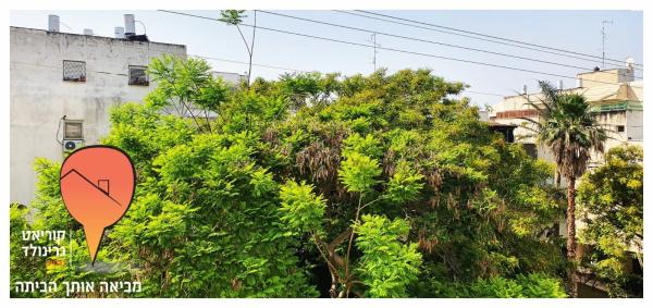 רעות (מגדיאל)