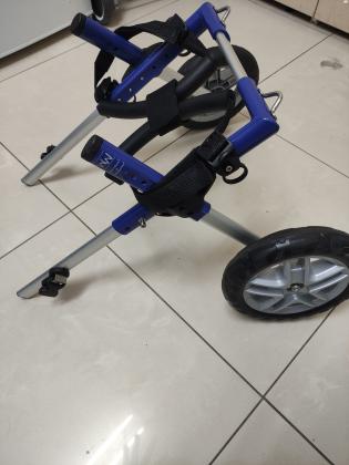 כיסא גלגלים לכלב/ה נכה, מתאים