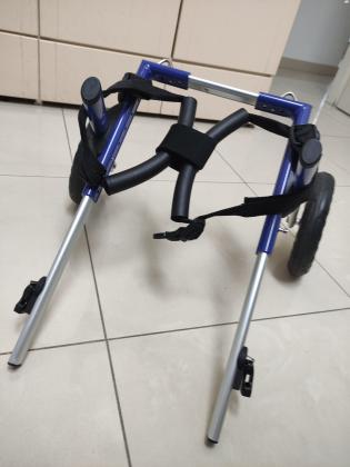 כיסא גלגלים לכלב/ה נכה, מתאים