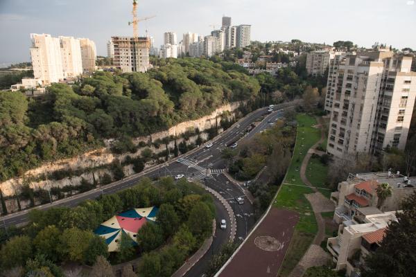 ד"ר ארתור בירם 11 (רמת אלמוגי)