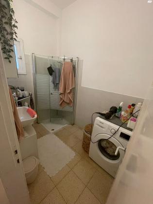 המעלות 12 (שיינקין)