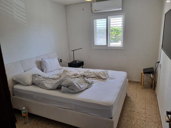 הרב גביזון 3 (לבנה)