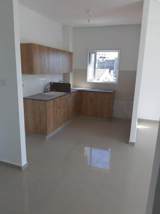 נורדאו 19 (פרדס כץ ויסודות)